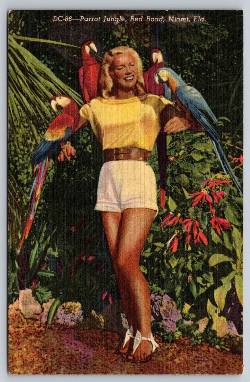 Vintage Lined Postcard Parrot Jungle Miami Florida DC-86Woman with Macaws Map